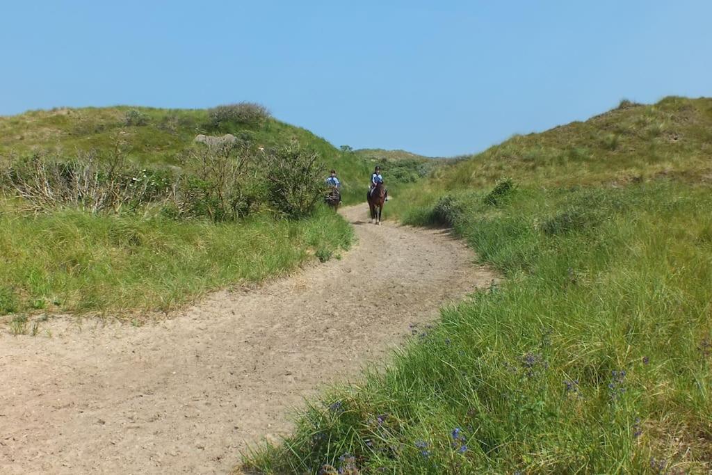 Zentrale In Der Liewald Mit Terrasse Und Glasfaseranschluss Norderney